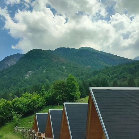 Organic Tourist Farm Pri Plajerju Apartment Trenta Luaran gambar